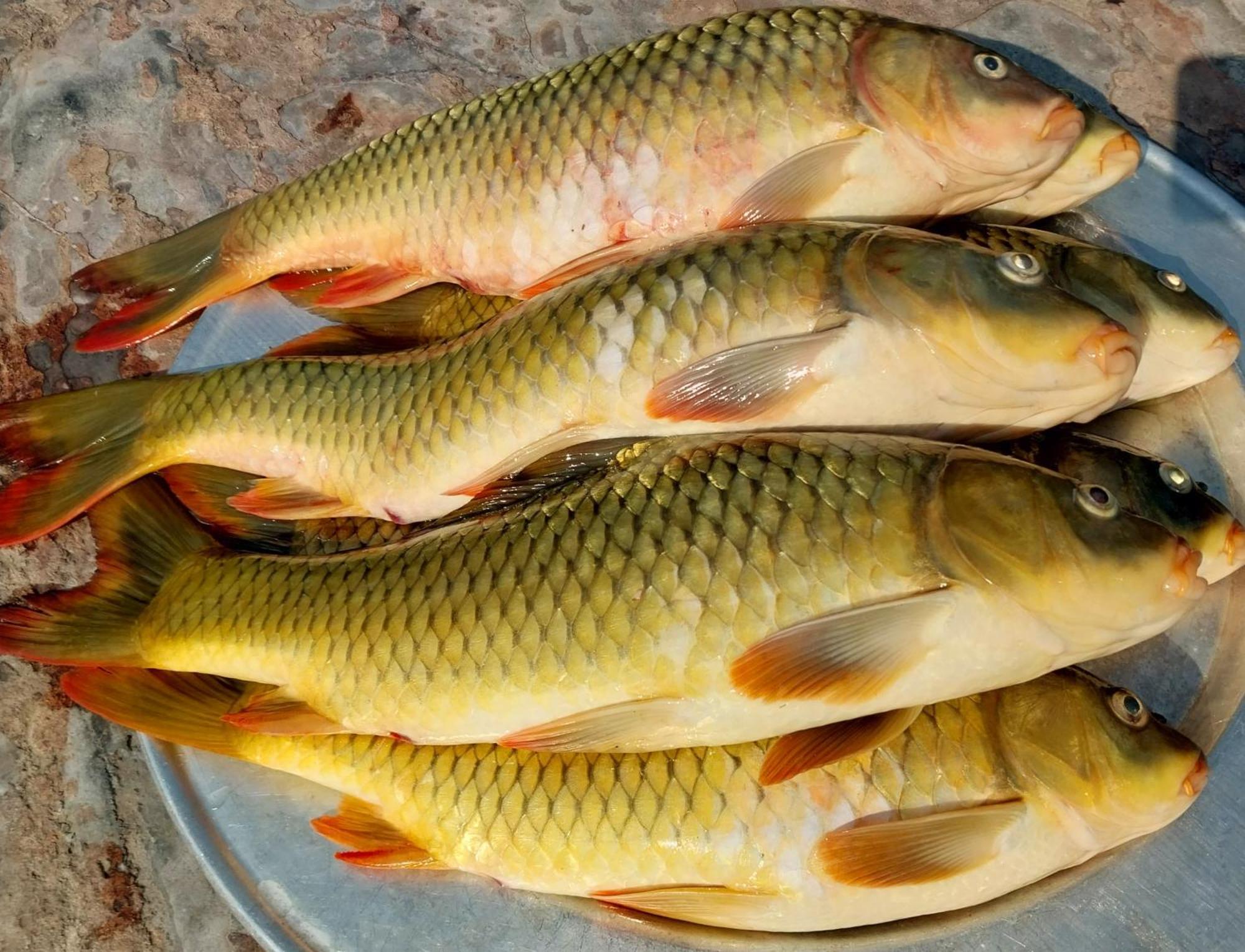Nasan Green Farm Cao Bang Dış mekan fotoğraf